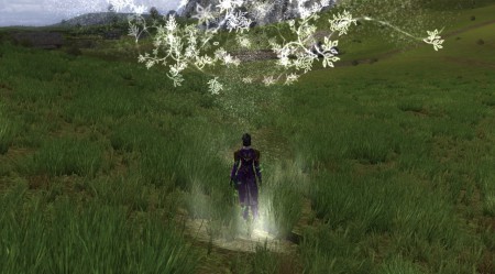 Middle-earth flowers for the cook of the House of all, truly a quiet force, with lightning fast display. Hip hip hooray, level 85!
