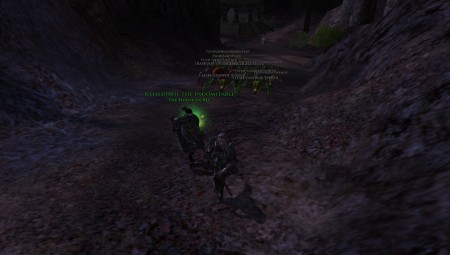 Celiedhril en Wudea hadden hun dag niet echt !!